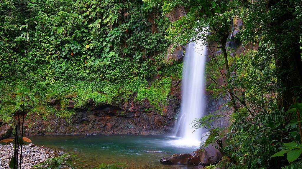 Les Chutes du Carbet
